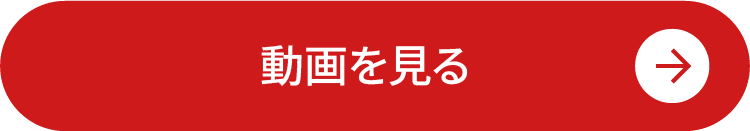 動画を見る